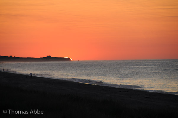 Rosy Orange Dawn