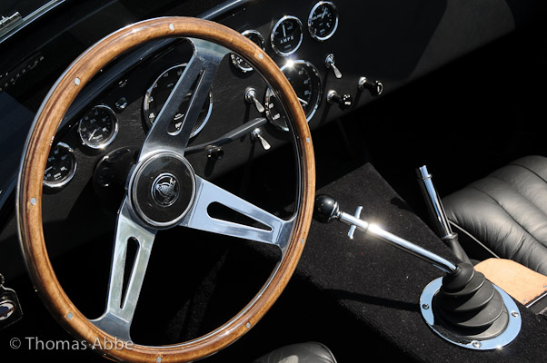 Cobra Cockpit