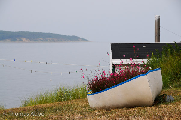 The Flower Boat