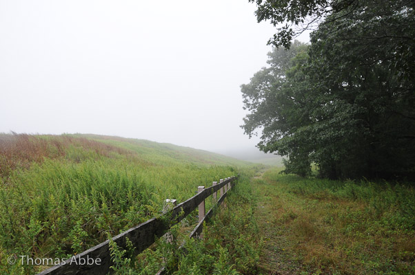 Montauk Meadow