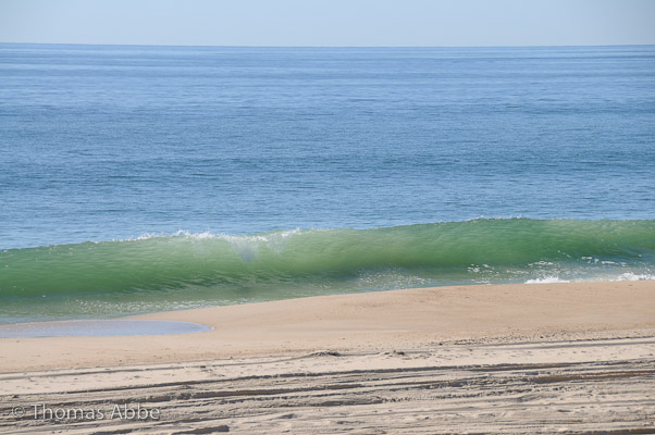 Green Wave (2009)